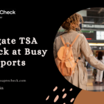 Navigate TSA PreCheck at Busy Airports